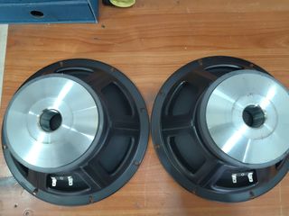 Woofer RCF da 32 cm (12 pollici). 400W