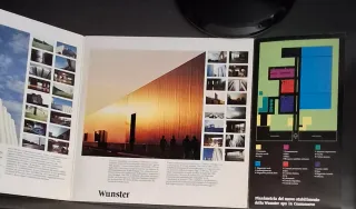 Vinile Wunster Edizione Speciale Verde