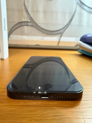 IPHONE 14 PRO MAX 256 GB