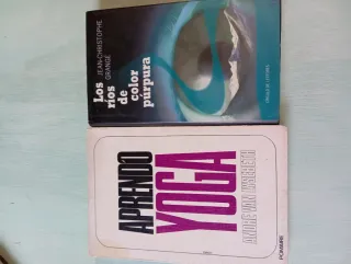 Libros: Aprendo Yoga y Los ríos de color púrpura
