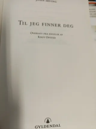 Til jeg finner deg