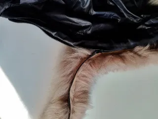 Funda carrito invierno negro alas doradas