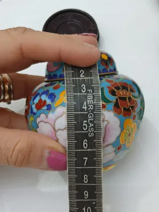 Coppia vasi cinesi cloisonne vintage