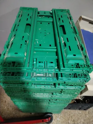 Cajas verdes apilables para fruta