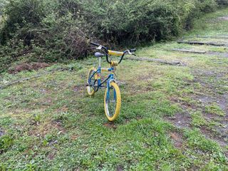 BH California X2 Original