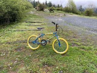 BH California X2 Original