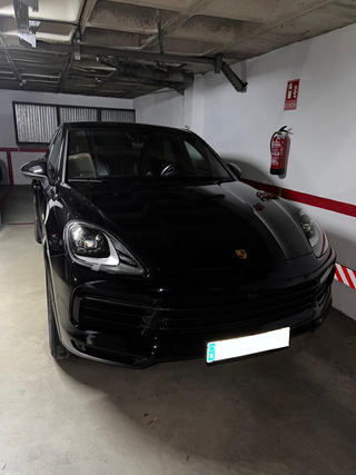 Limpieza de Coche DETAILING en seco a Domicilio