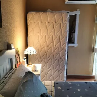 Colchón Flex 105x190