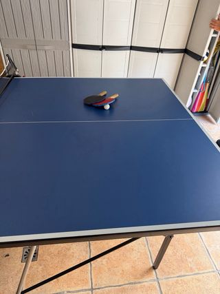 Mesa Ping Pong Plegable