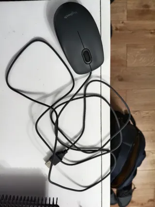 Ordenador portátil HP Plata