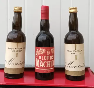 17 Miniaturas Antiguas