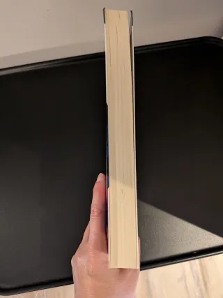 La furia / The Fury (Spanish Edition)