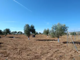 TERRENO RUSTICO CON CARAVANA