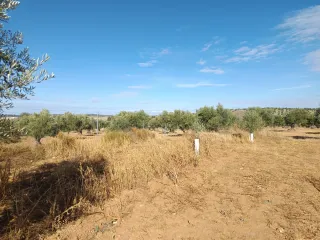 TERRENO RUSTICO CON CARAVANA