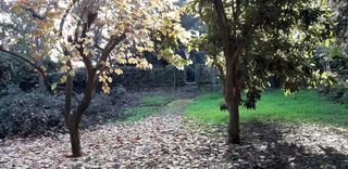 Solar en venta en Sant Pere de Vilamajor