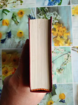 Diario. La misericordia divina nella mia anima