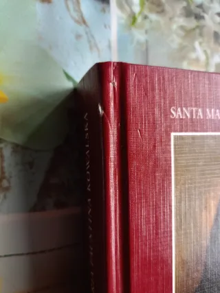 Diario. La misericordia divina nella mia anima