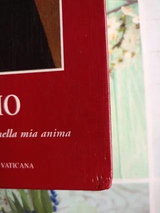 Diario. La misericordia divina nella mia anima