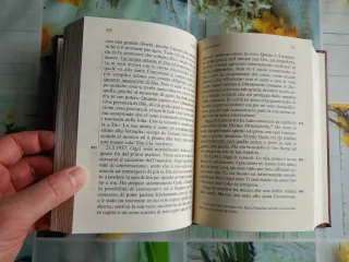 Diario. La misericordia divina nella mia anima