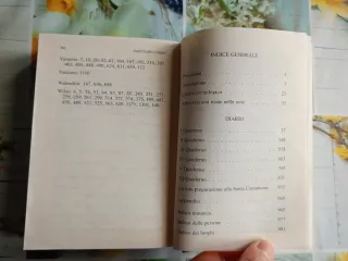 Diario. La misericordia divina nella mia anima