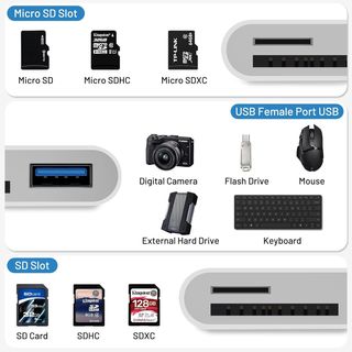 Adaptador Lector Tarjetas SD/TF USB para Móvil/PC