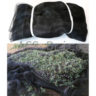 Manto Aceitunas Recolección - 80 g/m² - Negro - 7x14 m
