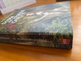 Laura Gallego: Donde los árboles cantan.