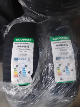 2 195 65 15 91V All Season neumáticos