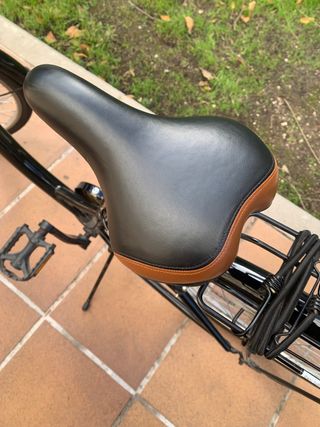 Bicicleta alemana paseo nueva