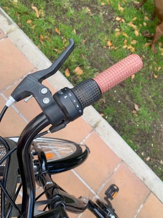 Bicicleta alemana paseo nueva