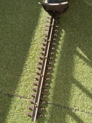 Tagliasiepi elettrico Black+Decker