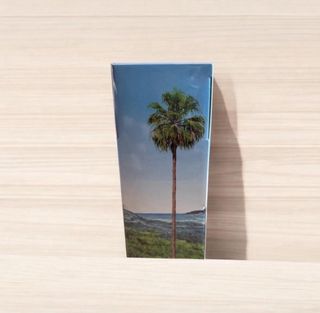 Louis Vuitton Pacific Chill