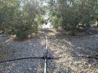 Terreno en venta en Güímar