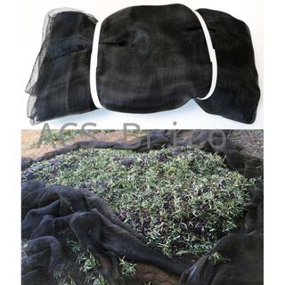 Manto Aceitunas Recolección - 80 g/m² - Negro - 6x12 m