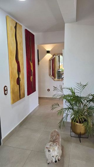 Chalet en alquiler en Costa de la Calma en Calvià