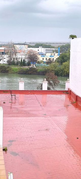 Piso en alquiler en Triana Casco Antiguo en Sevilla