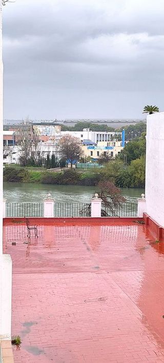Piso en alquiler en Triana Casco Antiguo en Sevilla