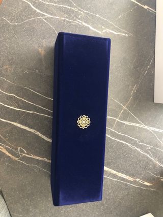 Maqueta MSC Explora I