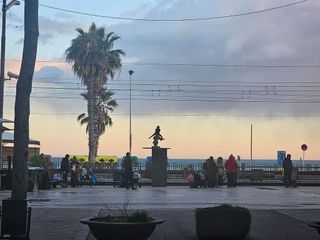 Local comercial en venta en Casagemes - Canyadó en Badalona