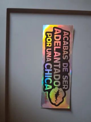 Pegatina vinilo coche / moto