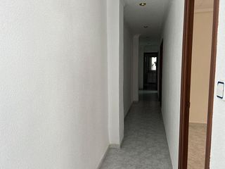 Piso en alquiler en El Pla de Sant Josep - L'Asil en Elche