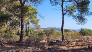 Solar en venta en Manacor Centro en Manacor