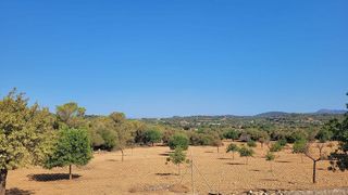 Solar en venta en Manacor Centro en Manacor