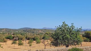 Solar en venta en Manacor Centro en Manacor