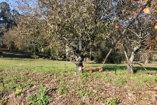 Chalet en venta en Rosal (O)