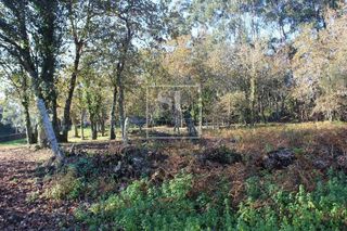 Chalet en venta en Rosal (O)