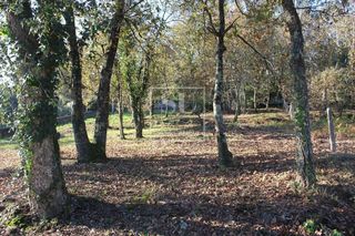 Chalet en venta en Rosal (O)