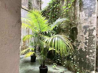 Local comercial en alquiler en Centro en San Sebastián-Donostia