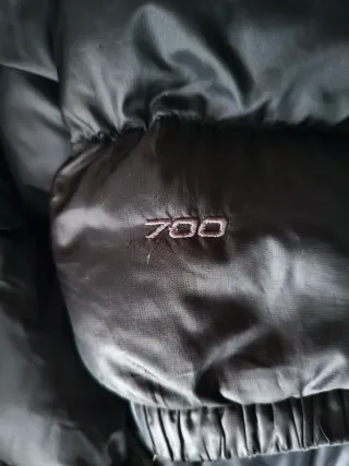 Plumas The North Face 700 Negro