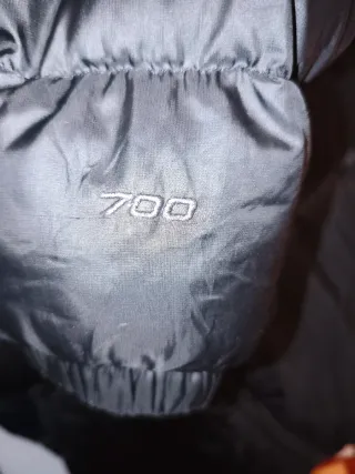 Plumas The North Face 700 Negro